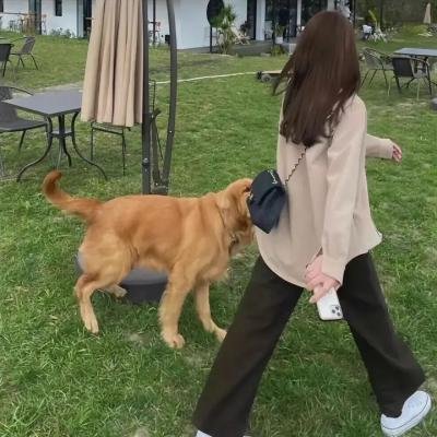 我的妈咪金摇摆